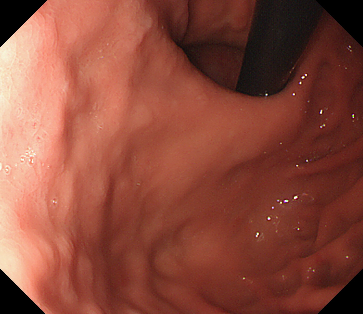 �u⃕����[�ȉ��t���]]